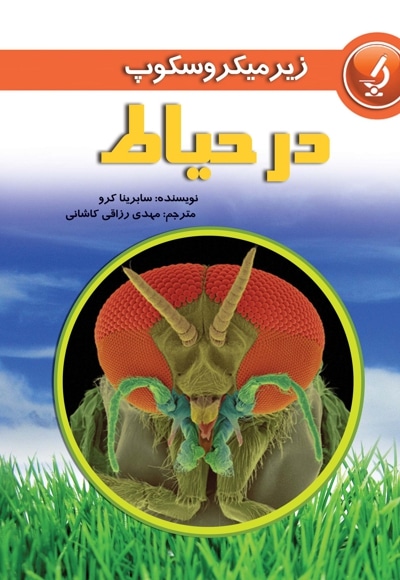 در حیاط